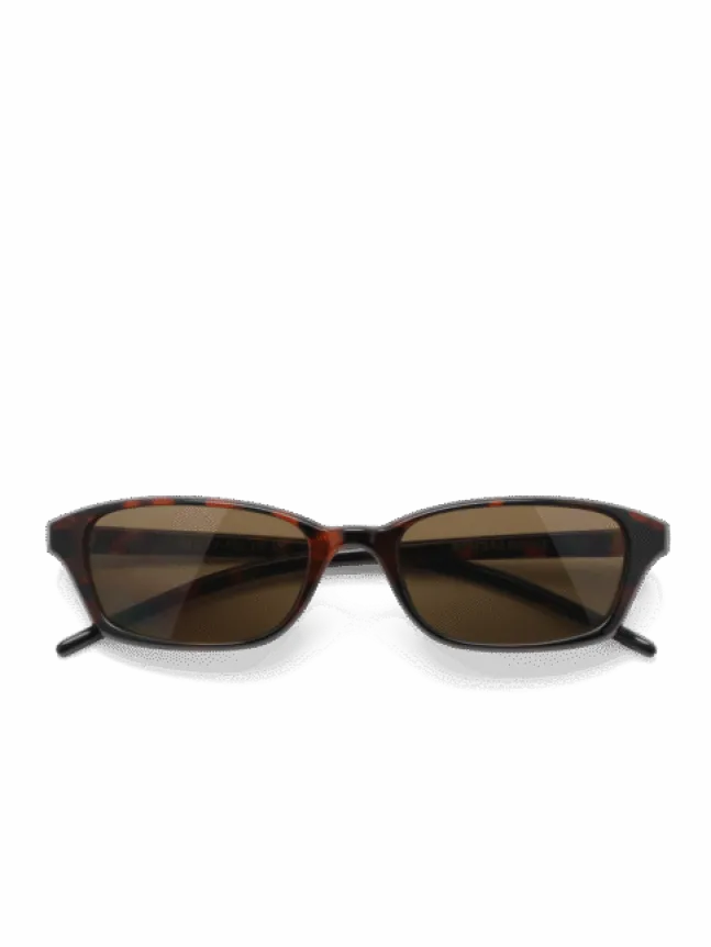 Chiara Tortoise