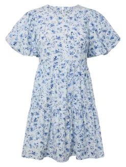 Colea SS Dress Pristine Blue Donna Print