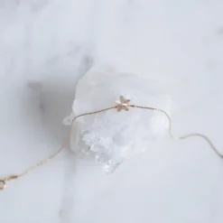 Crystal Champagne Star Lumière