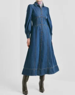 Denim Button-Down Dress French Blue