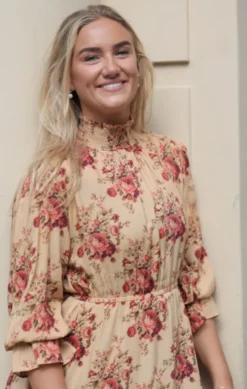 Dream Dress Roses