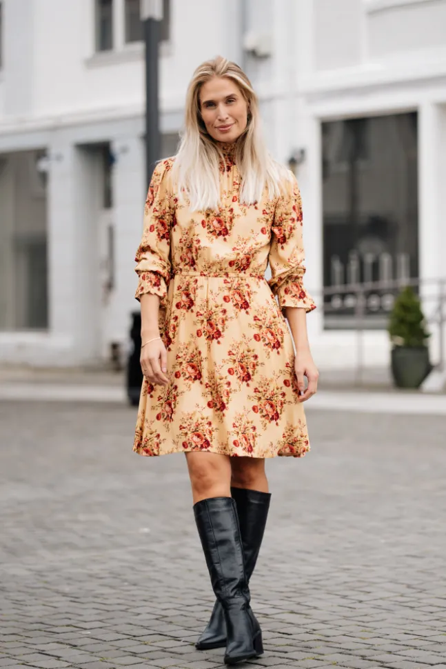 Dream Dress Roses