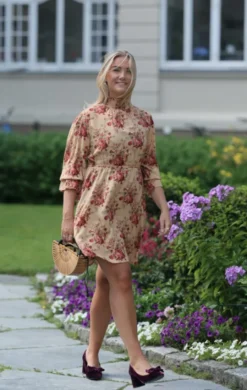Dream Dress Roses