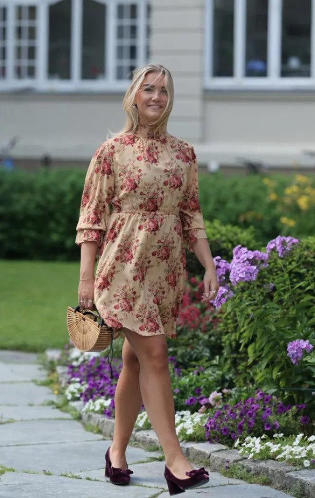 Dream Dress Roses