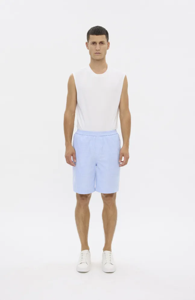 Elliot Shorts Sky Blue Stripe