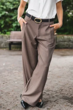 Essiall Pinstripe Pants Taupe