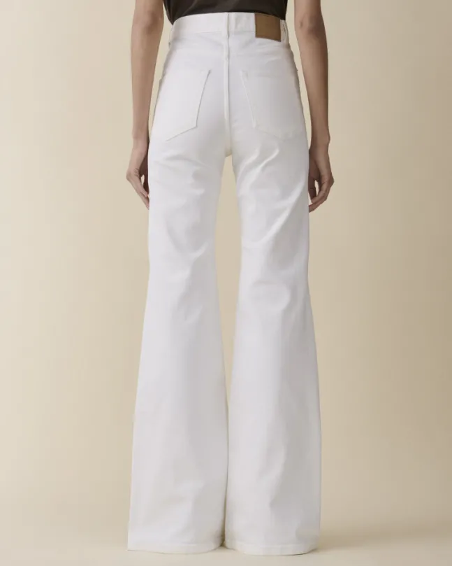 Fuji Natural White
