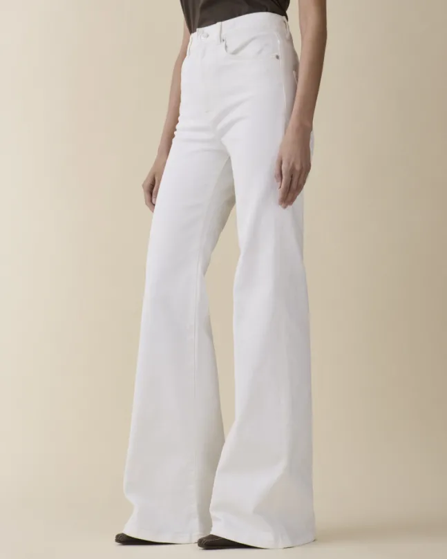 Fuji Natural White