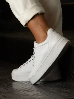 Gorbio White