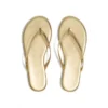 Lily Metallics Blink