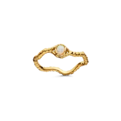 Lisa Ring