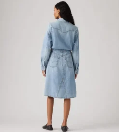 LS A Line Western Dress Pricey Icey