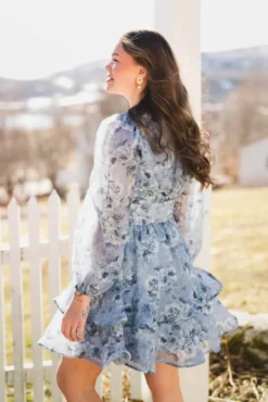 Mabella Crepe Print Dress Dusty Blue