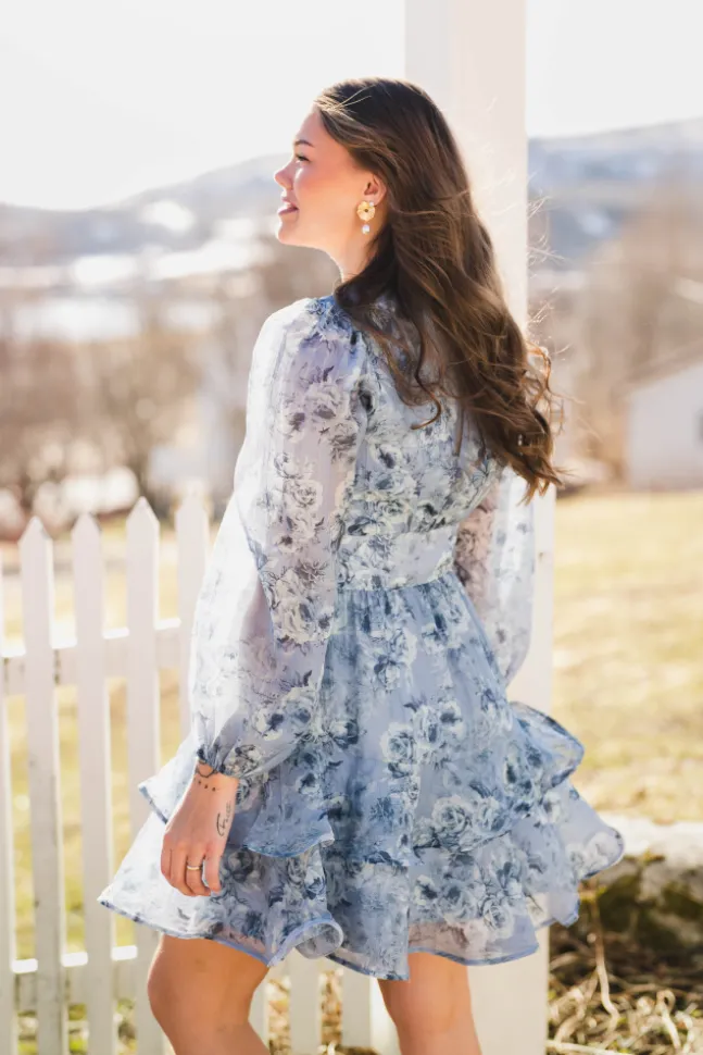Mabella Crepe Print Dress Dusty Blue