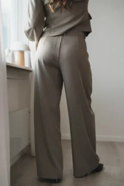 Massie Structure Pants Warm Grey