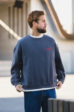 Plizzy Sweats Vintage Ashen