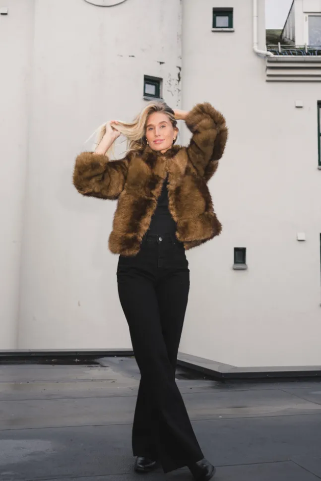 Posh Short Coat Dark Brown
