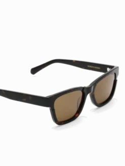Verso Tortoise